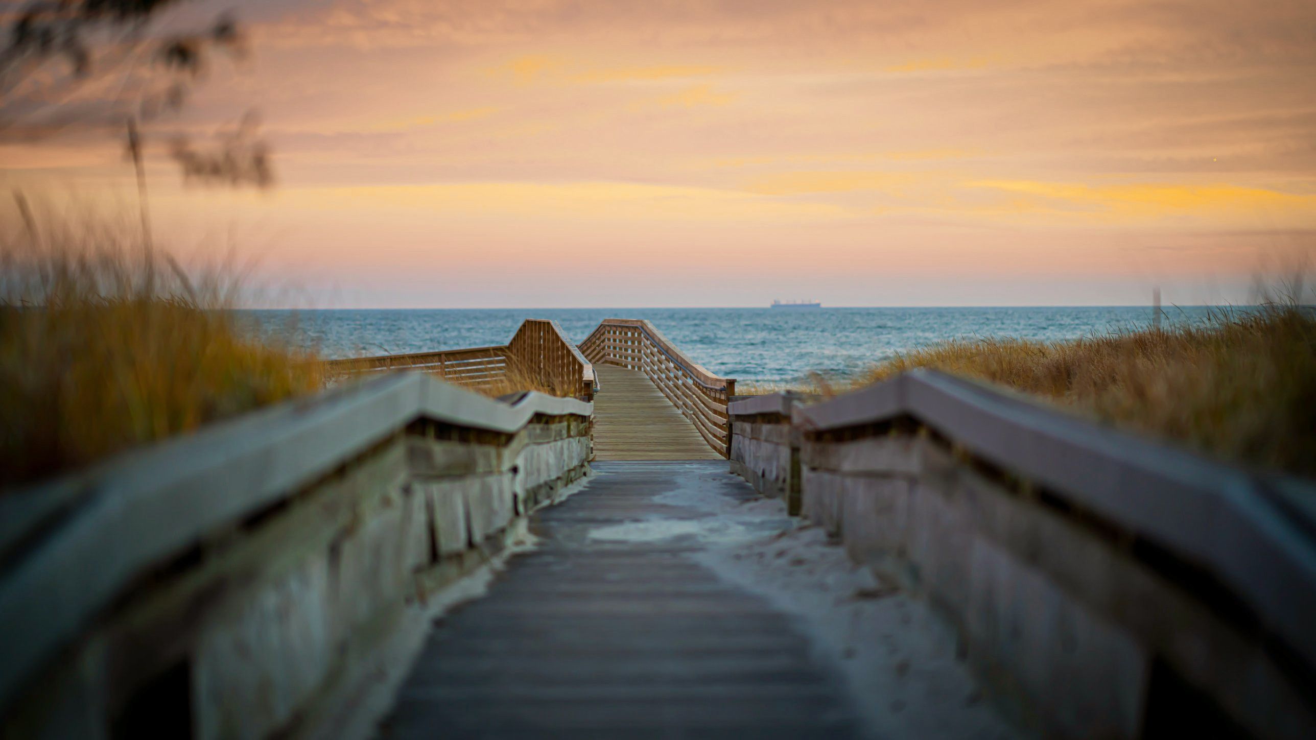Boardwalk through the dune grass to the ocean at sunset, Long Beach